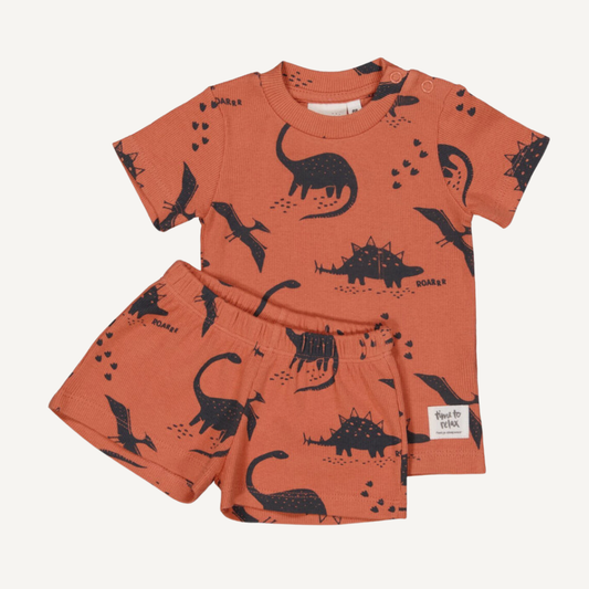 Conjunto camel Feetje